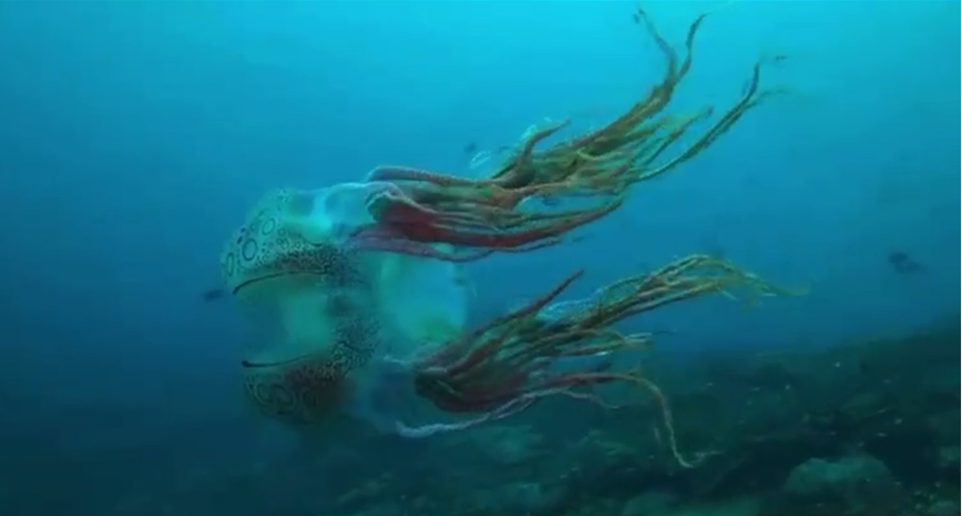 У берегов Папуа-Новая Гвинея засняли невероятно редкую медузу