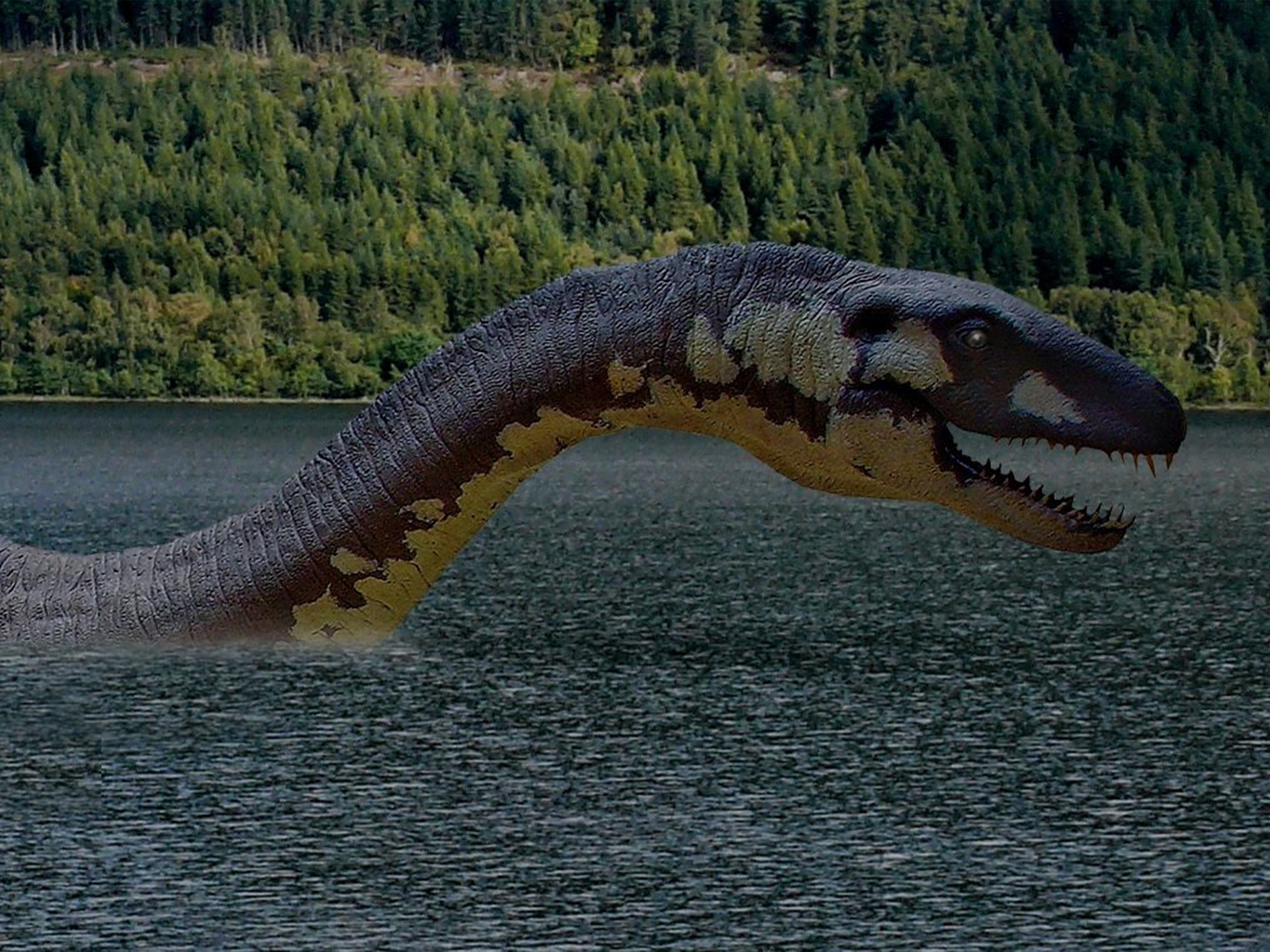 Плезиозавр видео. Озеро Лохнесс и Лохнесское чудовище. Чудовище озера Лохнесс. Плезиозавр Несси. Лох Несс чудовище.