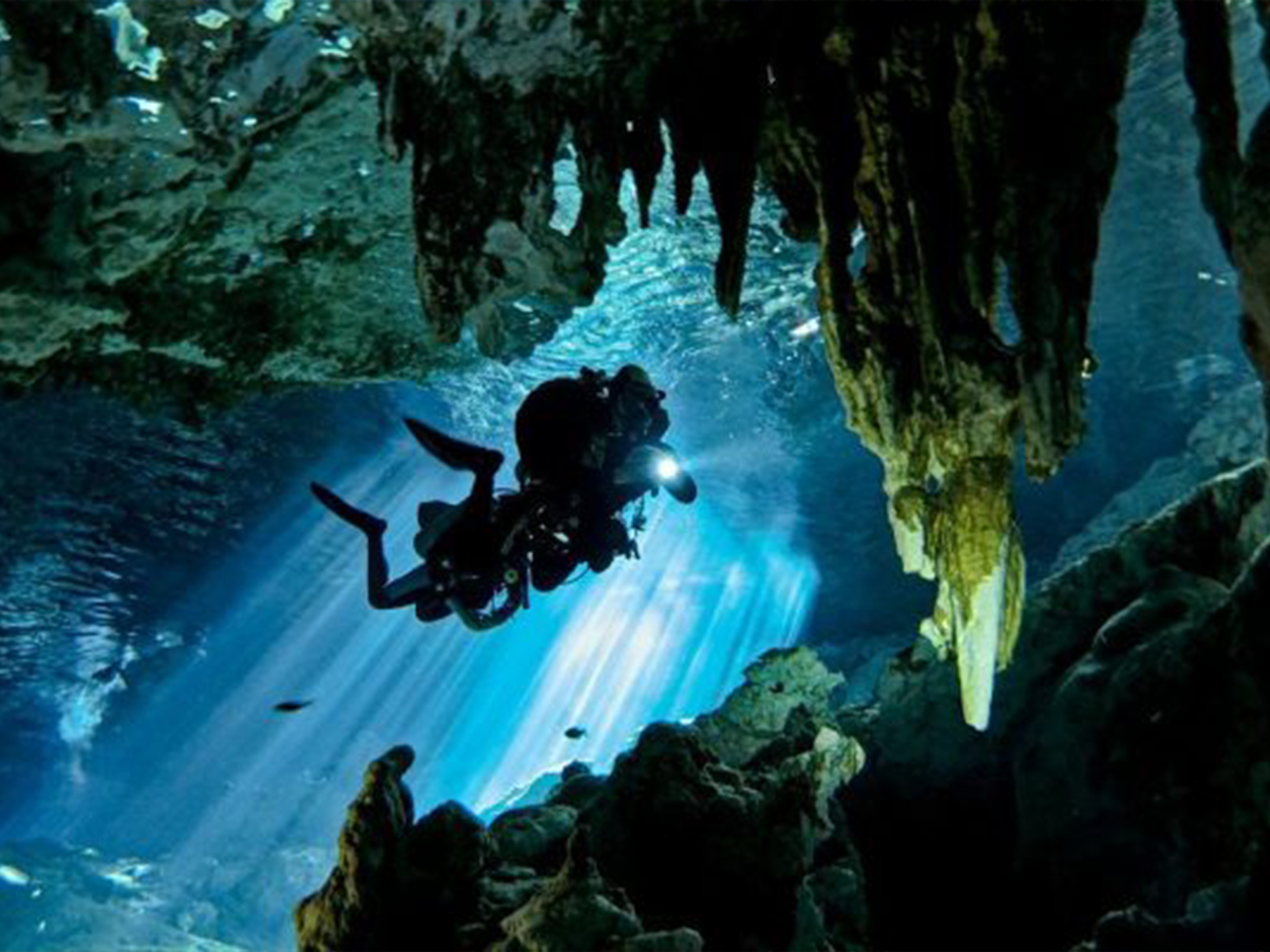 Дайвинг в волшебном каменном лесу внутри систем подводных пещер