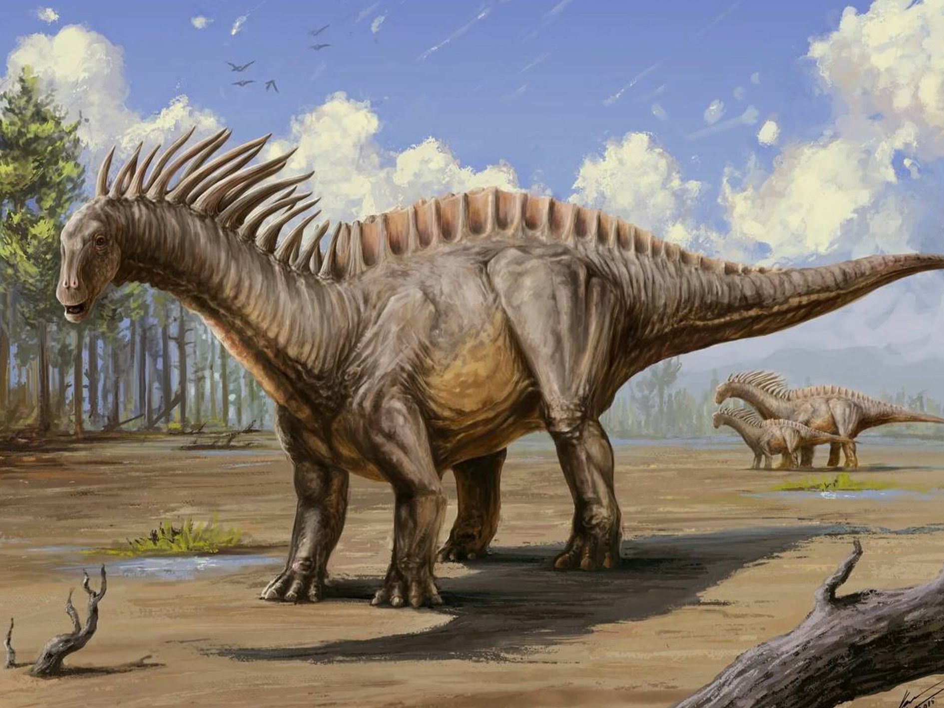 Динозавры это животные. Амаргазавр динозавр. Амаргазавр Jurassic World Evolution 2. Гигантозавр зауропод. Диплодок Брахиозавр Спинозавр.