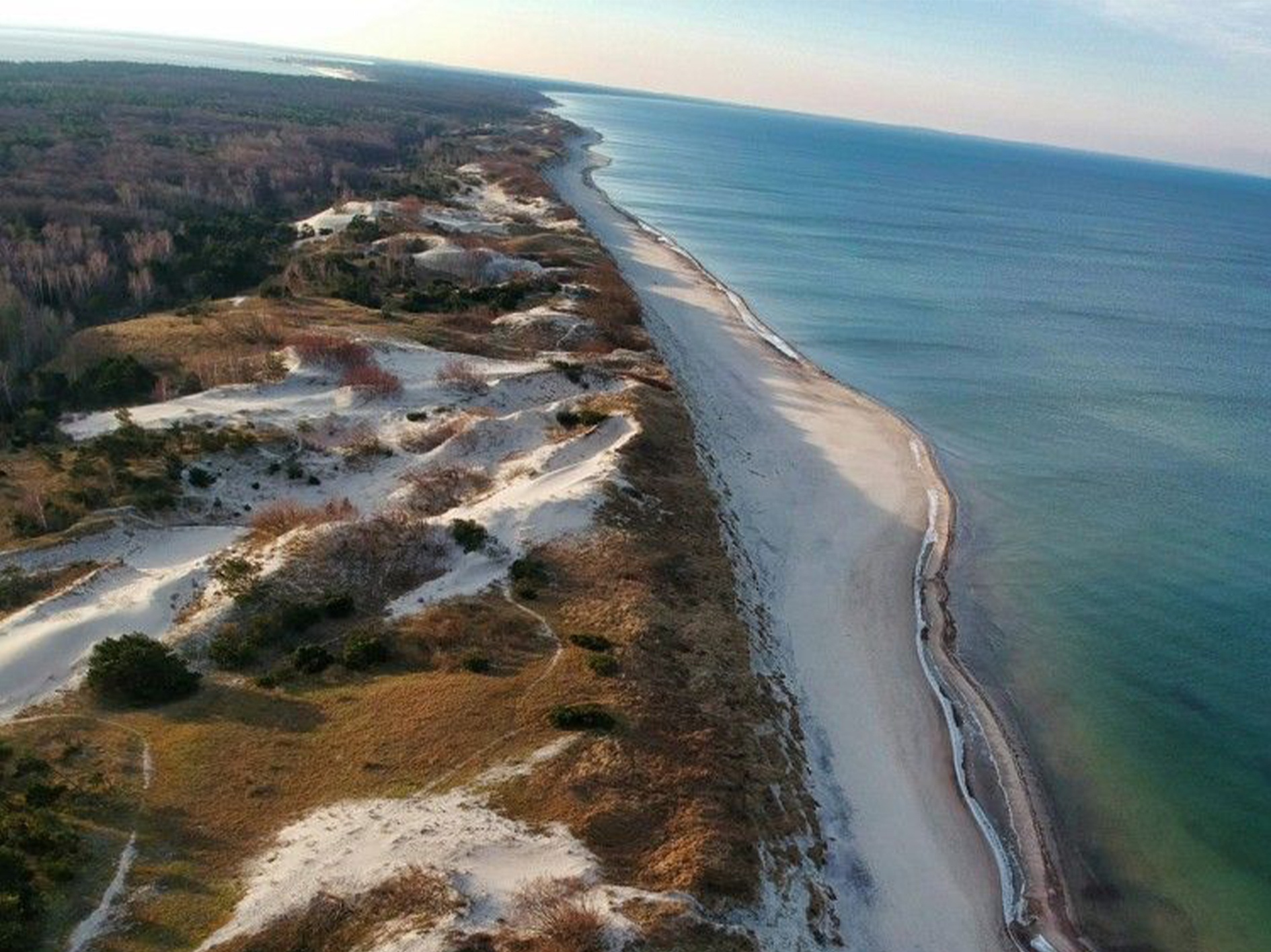 Куршская коса калининград фото вид сверху