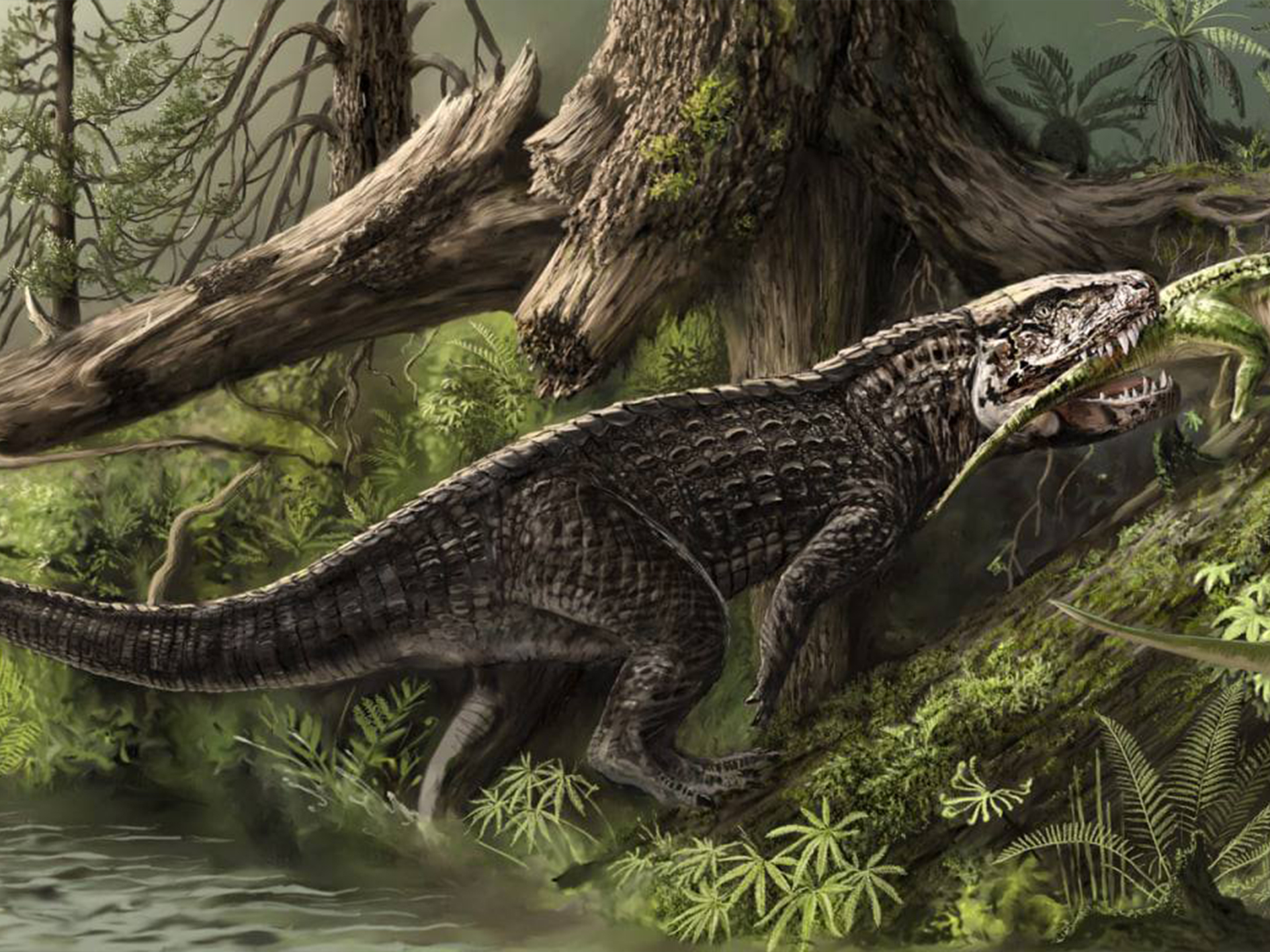 Пресмыкающиеся мезозойской эры. Динозавры Триасового периода. Триасовый период мезозойской эры. Равизухии Триасового периода. Архозавры мезозойской эры.