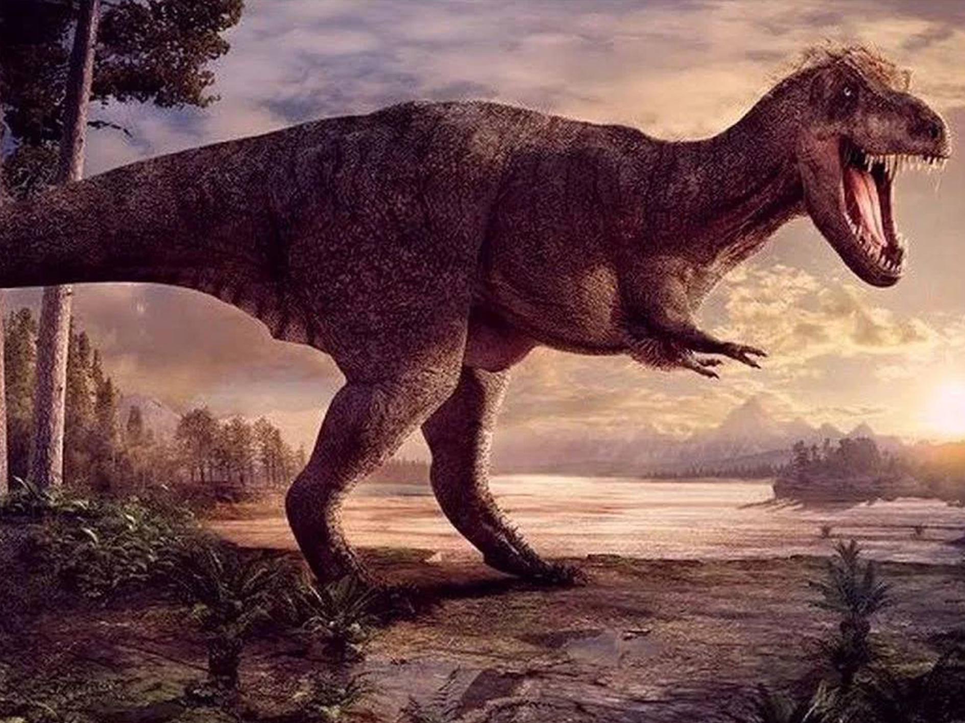 Картинки динозавров настоящих