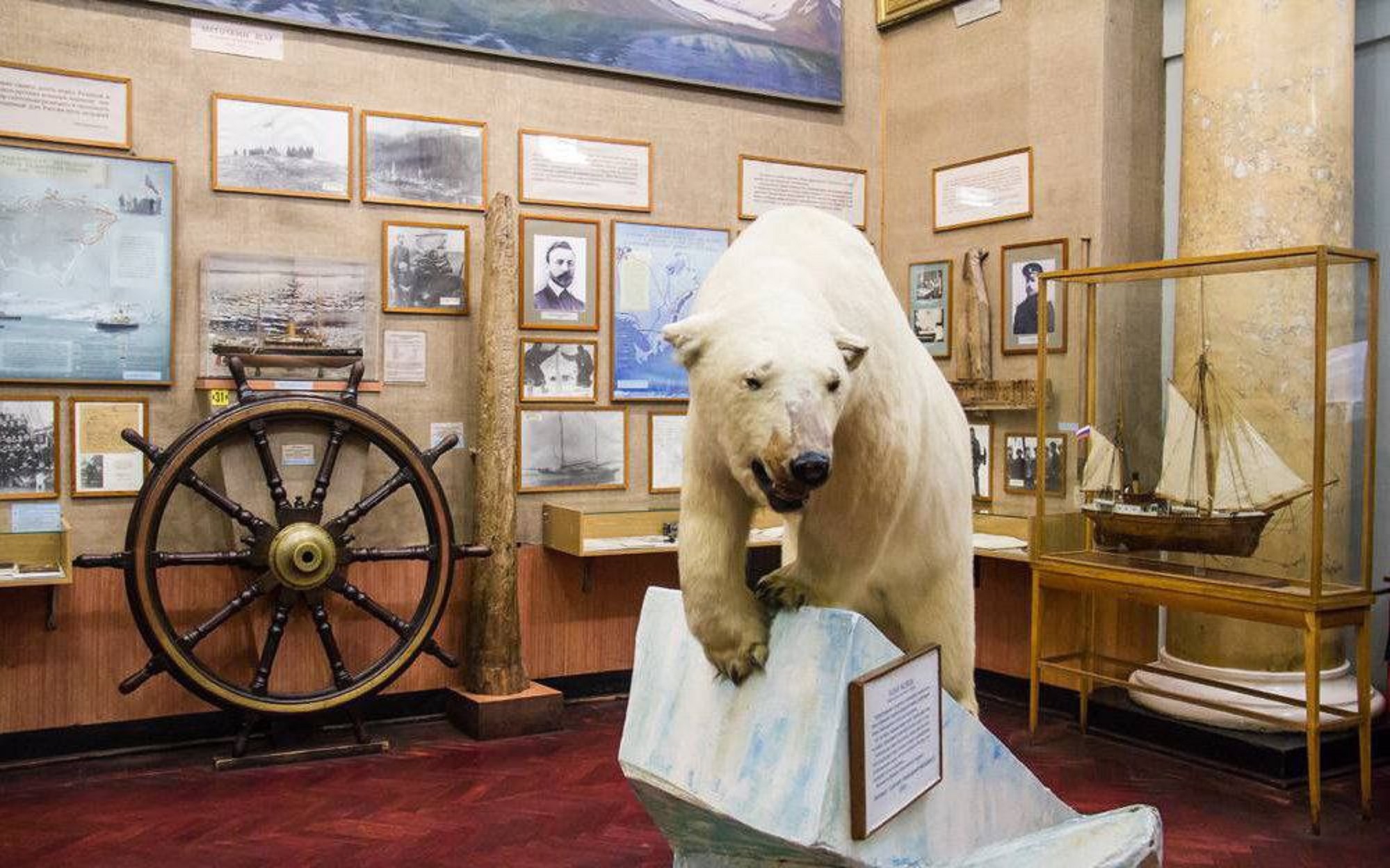 российский государственный музей арктики и антарктики