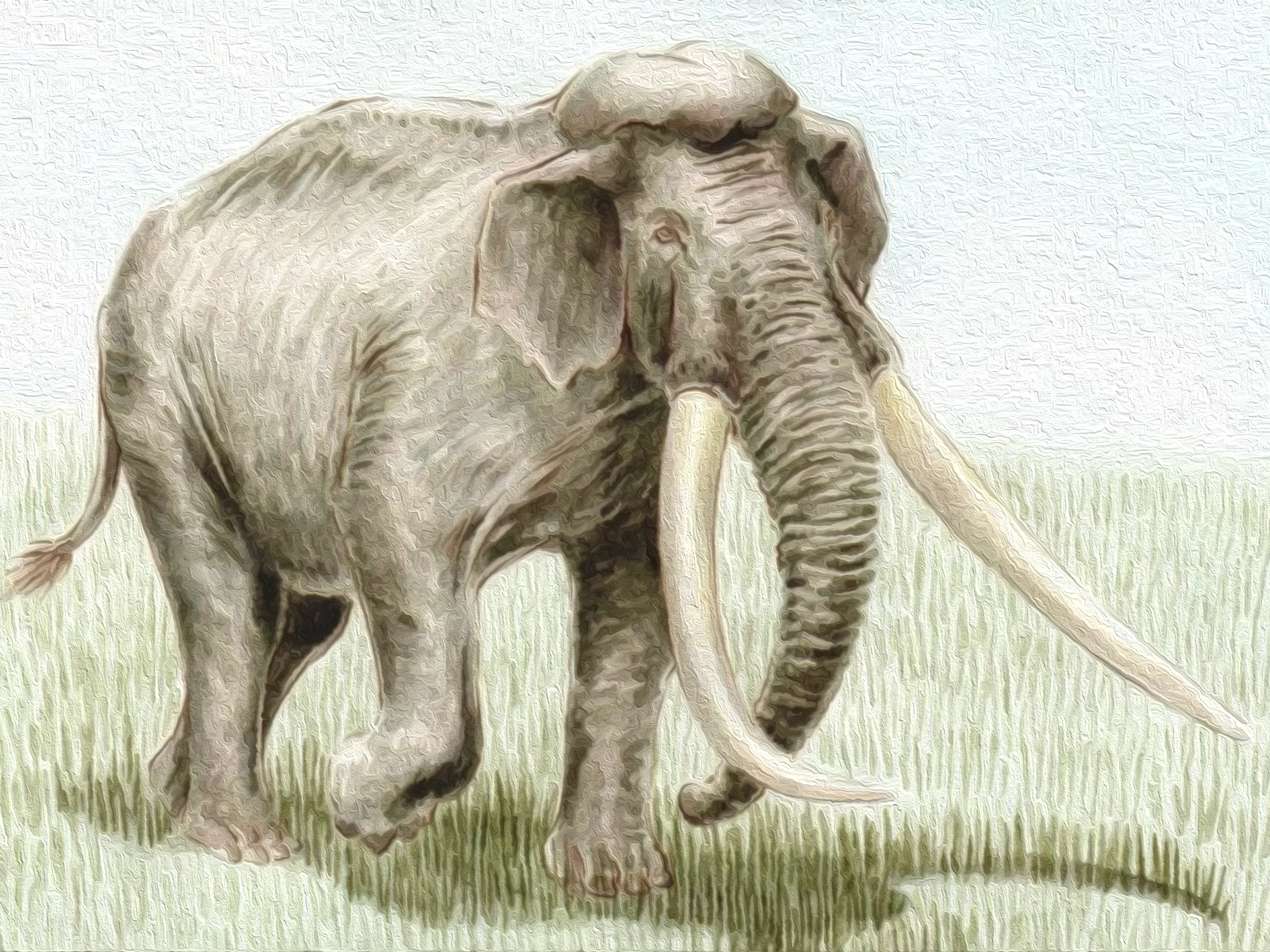 Известно что индийский слон крупное наземное млекопитающее. Палелоксодон намодикус. Прямобивневый Лесной слон. Palaeoloxodon naumanni. Mammuthus trogontherii.