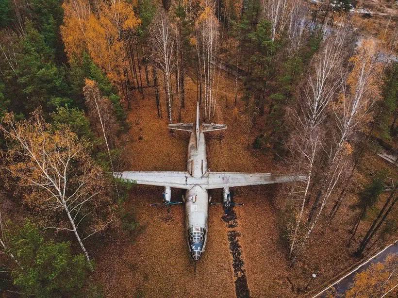 Самолёт Ан-8 в лесу под Петербургом