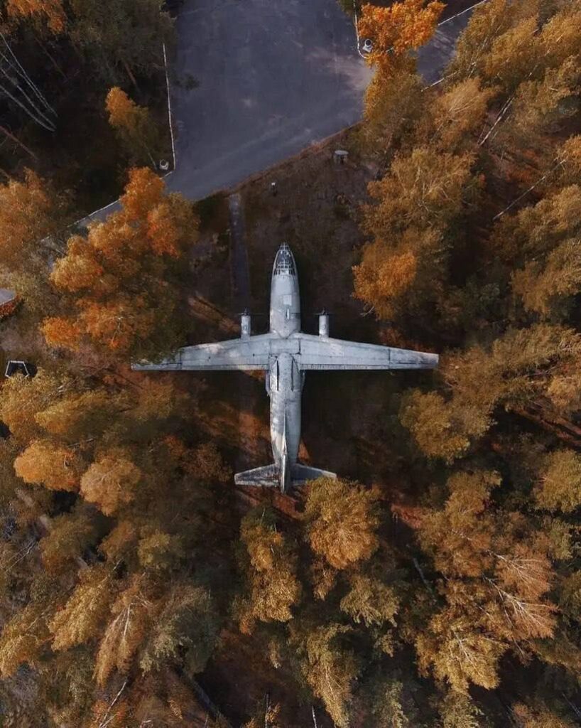 Самолёт Ан-8 в лесу под Петербургом