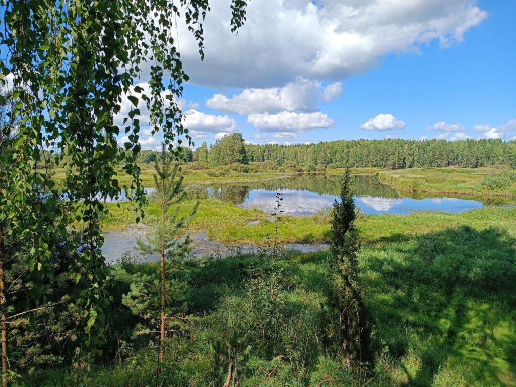 Весьегонск