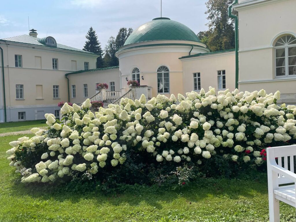 Усадьба Степановское-Волосово