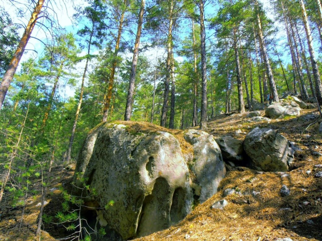 Памятник природы «Скрипинские Кучуры»