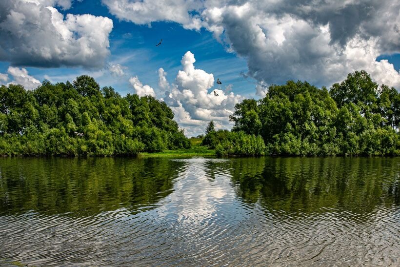 Купеческий посёлок Колывань