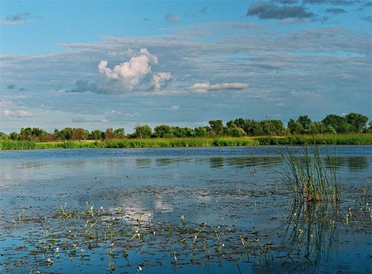 Хинганский заповедник