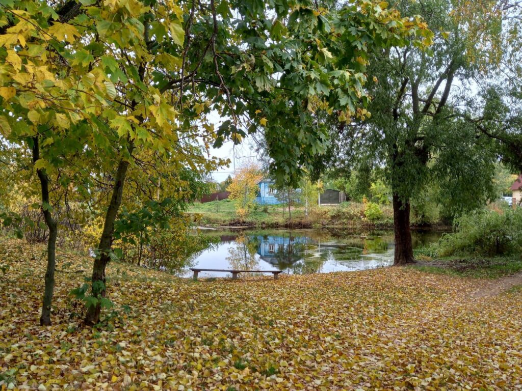 Село Алепино Собинского района